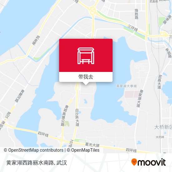 黄家湖西路丽水南路地图