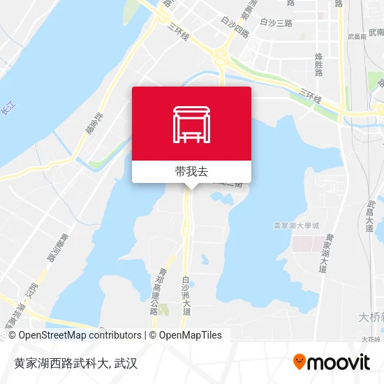 黄家湖西路武科大地图