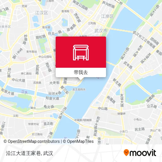 沿江大道王家巷地图