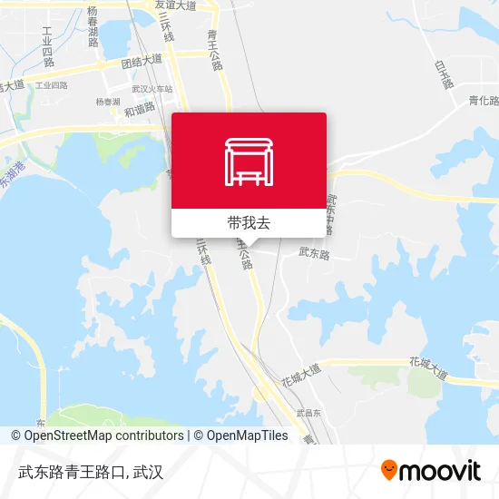 武东路青王路口地图