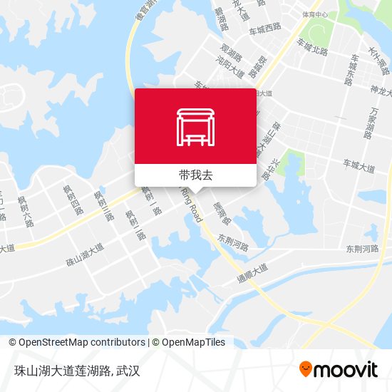 珠山湖大道莲湖路地图