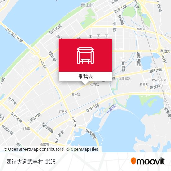 团结大道武丰村地图