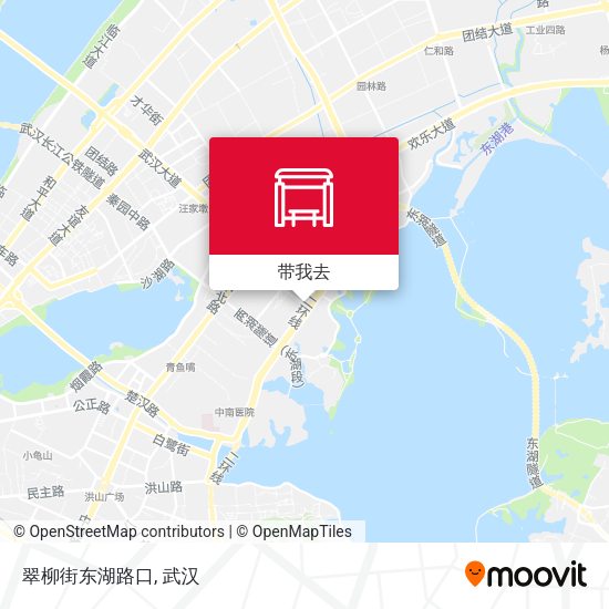 翠柳街东湖路口地图