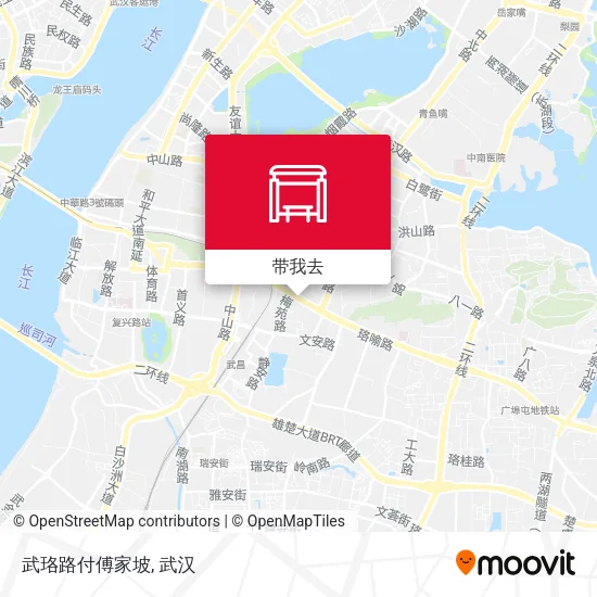 武珞路付傅家坡地图