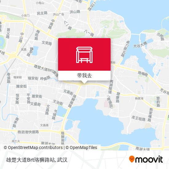 雄楚大道Brt珞狮路站地图