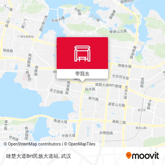 雄楚大道Brt民族大道站地图