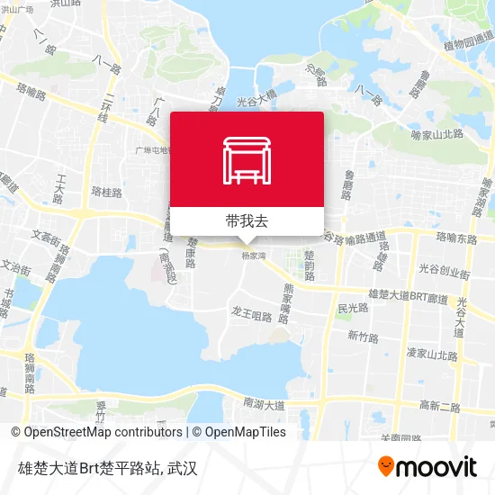 雄楚大道Brt楚平路站地图