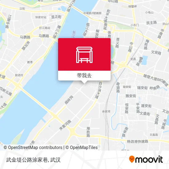 武金堤公路涂家巷地图