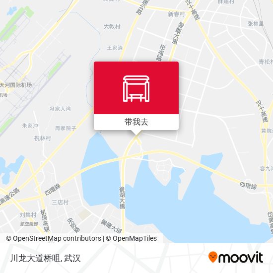 川龙大道桥咀地图