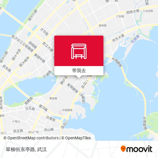 翠柳街东亭路地图