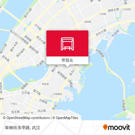 翠柳街东亭路地图