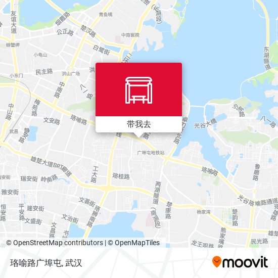 珞喻路广埠屯地图
