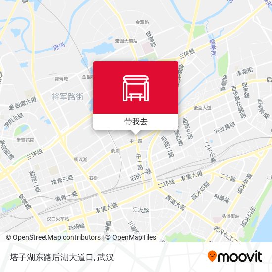 塔子湖东路后湖大道口地图