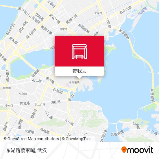 东湖路蔡家嘴地图