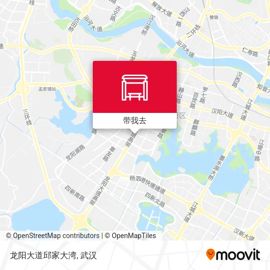 龙阳大道邱家大湾地图