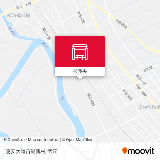 惠安大道苗湖新村地图
