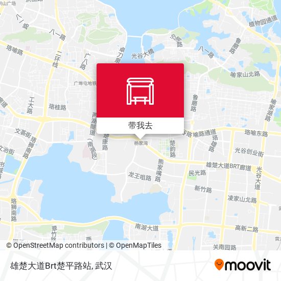 雄楚大道Brt楚平路站地图