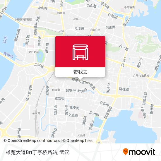 雄楚大道Brt丁字桥路站地图