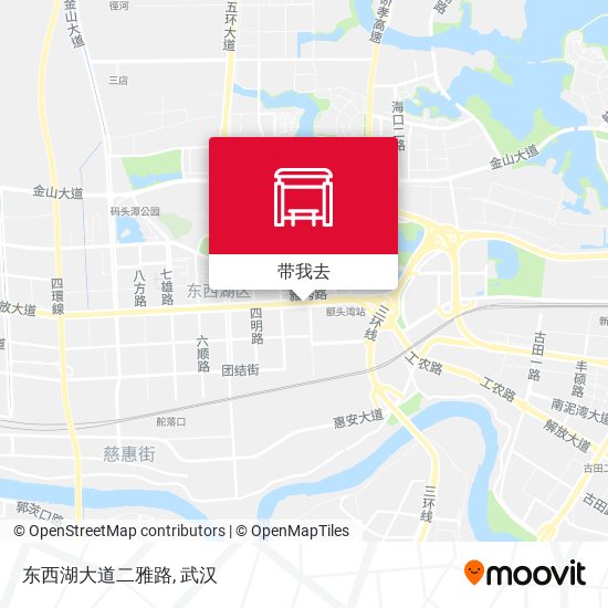 东西湖大道二雅路地图