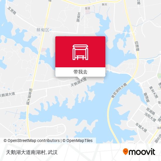 天鹅湖大道南湖村地图