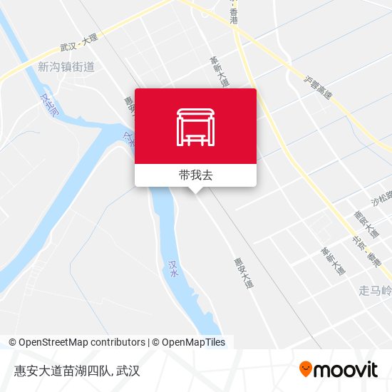 惠安大道苗湖四队地图