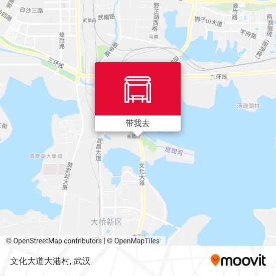 文化大道大港村地图