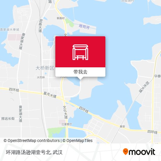 环湖路汤逊湖壹号北地图