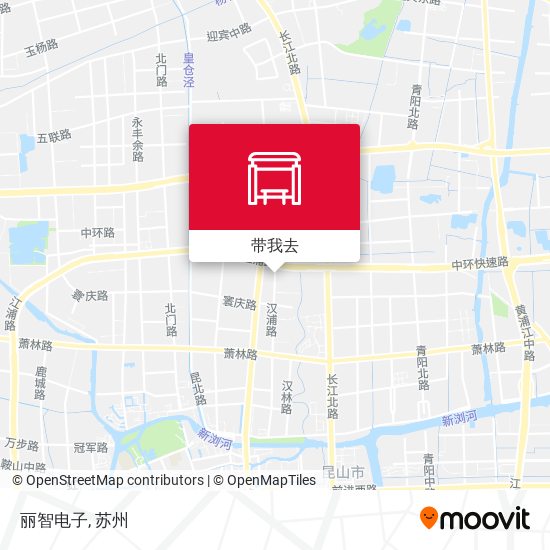 丽智电子地图