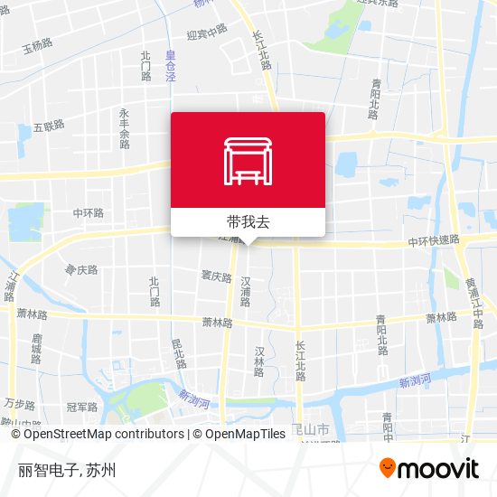 丽智电子地图