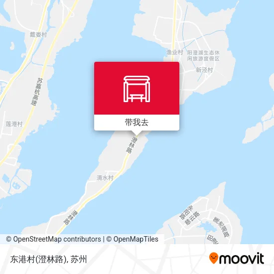 东港村(澄林路)地图