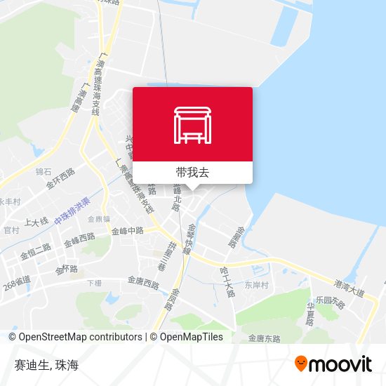 赛迪生地图