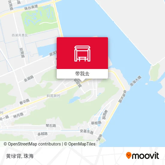 黄绿背地图