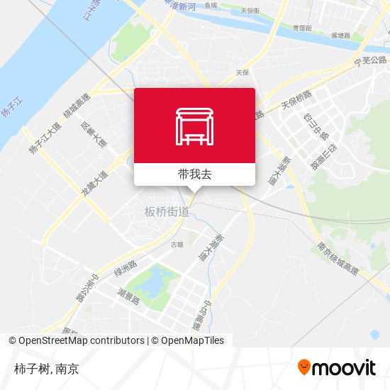 柿子树地图