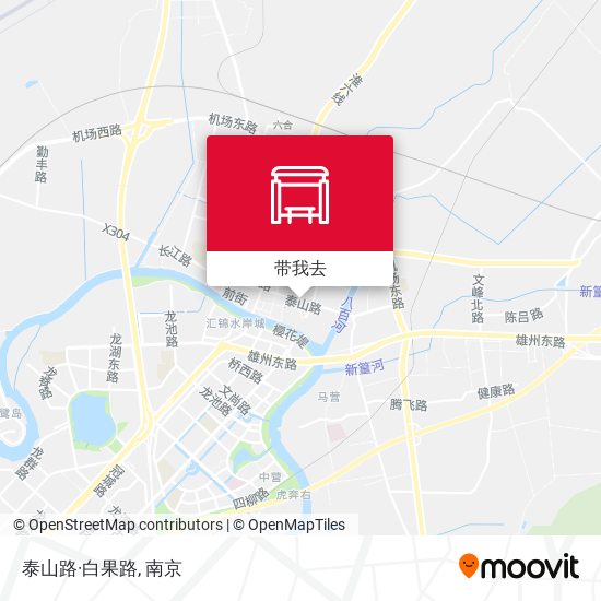 泰山路·白果路地图
