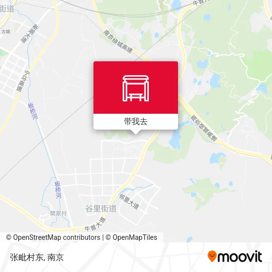 张毗村东地图