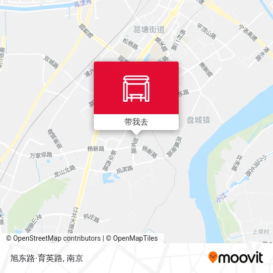 旭东路·育英路地图