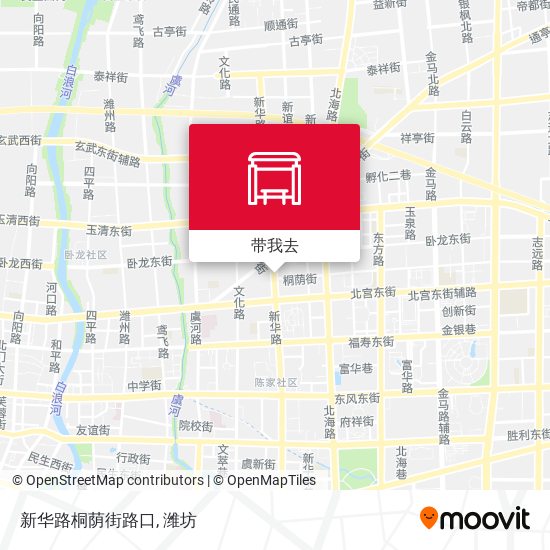 新华路桐荫街路口地图