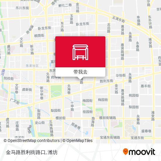 金马路胜利街路口地图