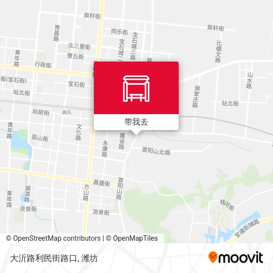 大沂路利民街路口地图