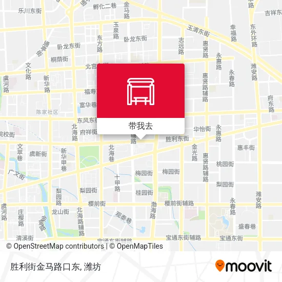 胜利街金马路口东地图