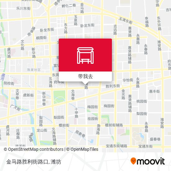 金马路胜利街路口地图