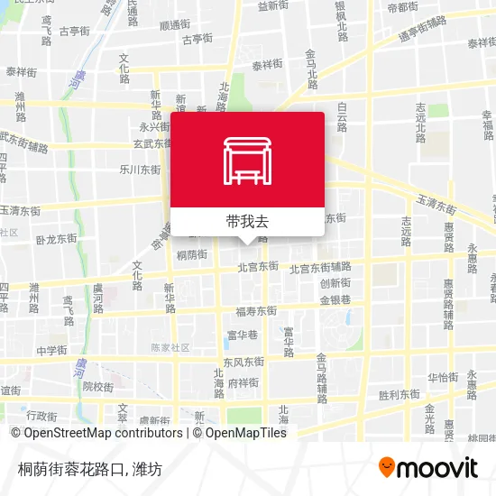 桐荫街蓉花路口地图