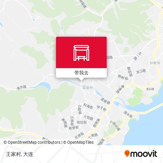 王家村地图