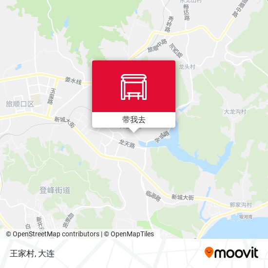 王家村地图