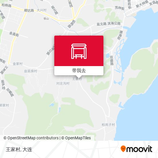王家村地图
