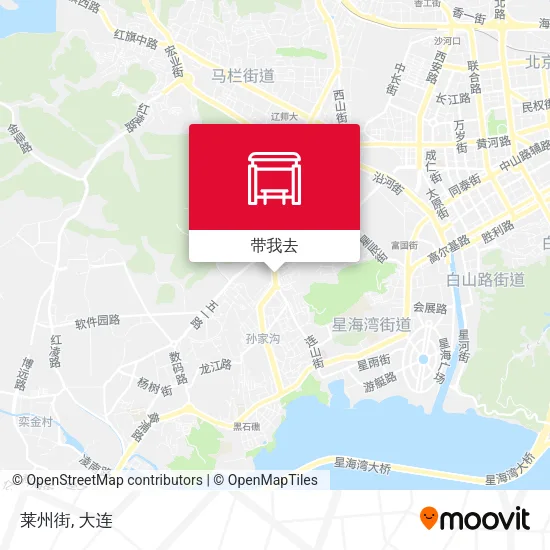 莱州街地图