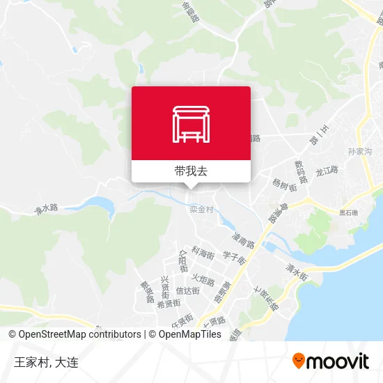 王家村地图