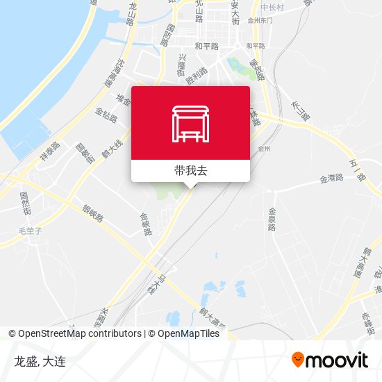 龙盛地图