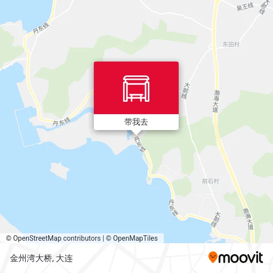 金州湾大桥地图