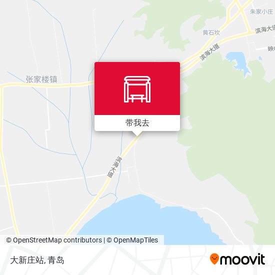 大新庄站地图